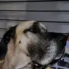 dennisarchermccla - @dennisarchermccla - TikTok