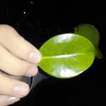 Dennis Ardian - @dennis.ard - Instagram