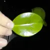dennis.ard - @2142466780 - TikTok