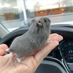 Dennis Arledge - @ouadialosic - Instagram