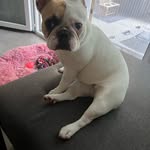 Denis Armbruster - @liloubel73 - Instagram