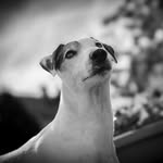 Dennis Armbruster - @dennis_armbruster0665 - Instagram