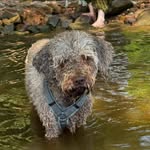 Dennis Armbruster - @dennis_armbruster65 - Instagram