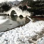 Dennis Arnett - @dennisarnett4 - Instagram