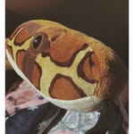 Dennis Barnett - @dennisbarnett_fanpage - Instagram