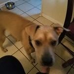Dennis Carney - @dennis.carney.505 - Instagram