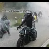 dennis.arp - @kranmann - TikTok