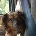 Richard Dennis Arrowood - Facebook