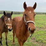 Dennis Artz - @tmprop7922 - Instagram