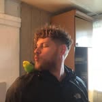 Dennis Asmus - @dennis_asmus_a - Instagram