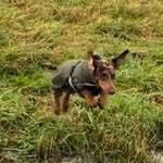 Günter Netzer - @dennis_ast - Instagram