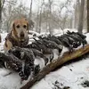 dennis.hauer - @dennis.hauer - TikTok