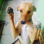 Dennis Augustus - @dennis_augustus - Instagram