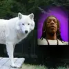 Dennis Austin - @dennis.austin51 - TikTok