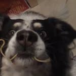 Dennis Baba - @dzmutts - Instagram