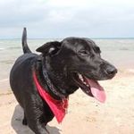 Dennis babinger - @daber1204 - Instagram
