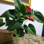 Dennis Baier - @dennis_baier0 - Instagram
