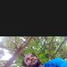 Dennis Bale - Facebook