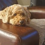 Dennis Ballinger - @ballinger7984 - Instagram