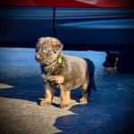 Dennis Ballinger - @ballingerdennis - Instagram