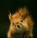 Dennis Barbour - Facebook