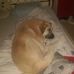 Dennis Barger - Facebook