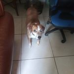 Dennis Barger - @dennis.barger.756 - Instagram