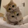 Animal stories - @dennisbatten1 - TikTok