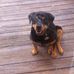 Dennis Batts - Facebook