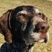 Dennis Baumann - Facebook