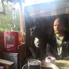 Dennis Baumann - @dennis.baumann6 - TikTok