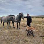 Dennis Maximiliano Baumann - @dennisbaumann_rg - Instagram