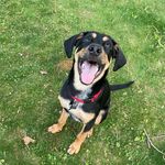 Baylor Dennis - @baylordennis - Instagram