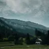 dennisonbaylor - @dennisonbaylor - TikTok