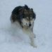 Dennis Beamer - Facebook