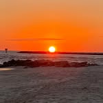 Dennis Bearden - @beardenconstruction - Instagram