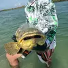 DennisB - @dennis_becker4reel - TikTok