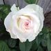 Dennis Beene - Facebook