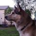 Dennis Begley - Facebook