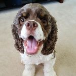 Dennis Begley - @dfbegley - Instagram