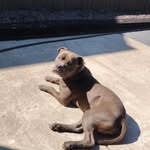 Dennis Bentley - @zar6311 - Instagram