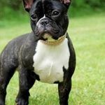 Dennis Binder - @baerchen30 - Instagram