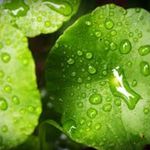 Dennis Binder - @dennis.binder42 - Instagram