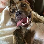 Dennis Booth - @dennisnbooth - Instagram