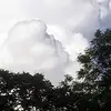 Dennis Call - @dennis.call7 - TikTok