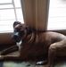 Dennis Cartwright - Facebook