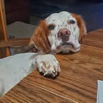 dennis castleman - @castleman127 - Instagram
