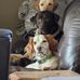 Dennis Castleman - Facebook