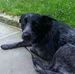 Dennis Cates - Facebook