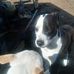 Dennis Caudill - Facebook